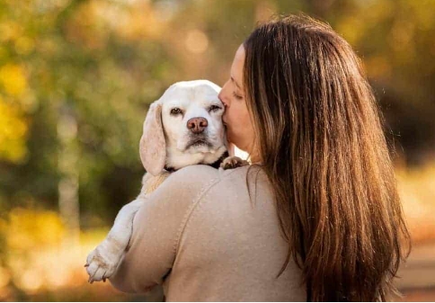 animal and human photography