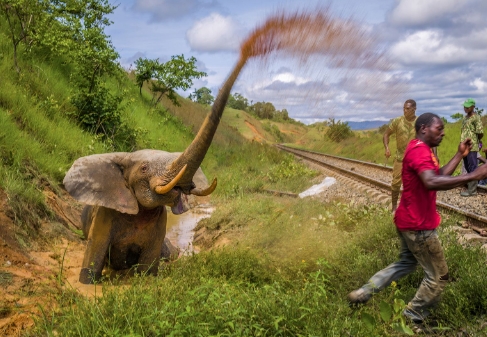 environmental photography award