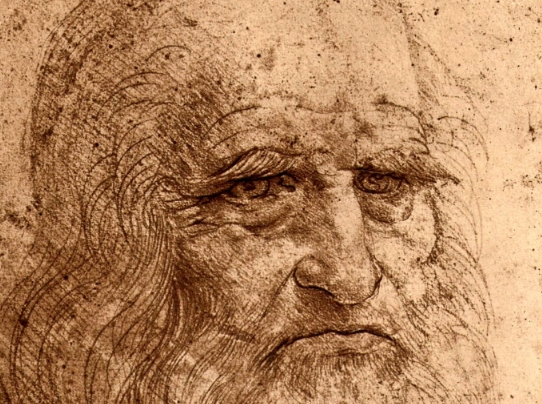 da vinci self portrait