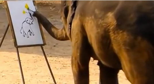 elephant paints self portrait