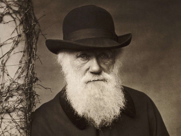 charles darwin self portrait